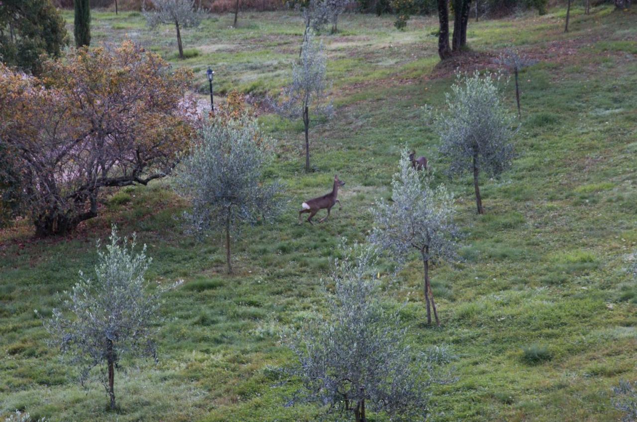 Podere Piandicava Castelnuovo di Val di Cecina Exterior foto