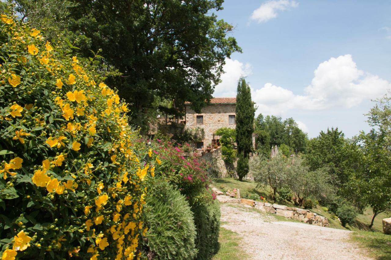 Podere Piandicava Castelnuovo di Val di Cecina Exterior foto